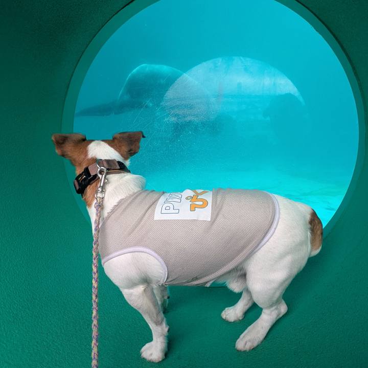 10adaef8 5f03 48f3 b653 895b73a931c5 1760405653117