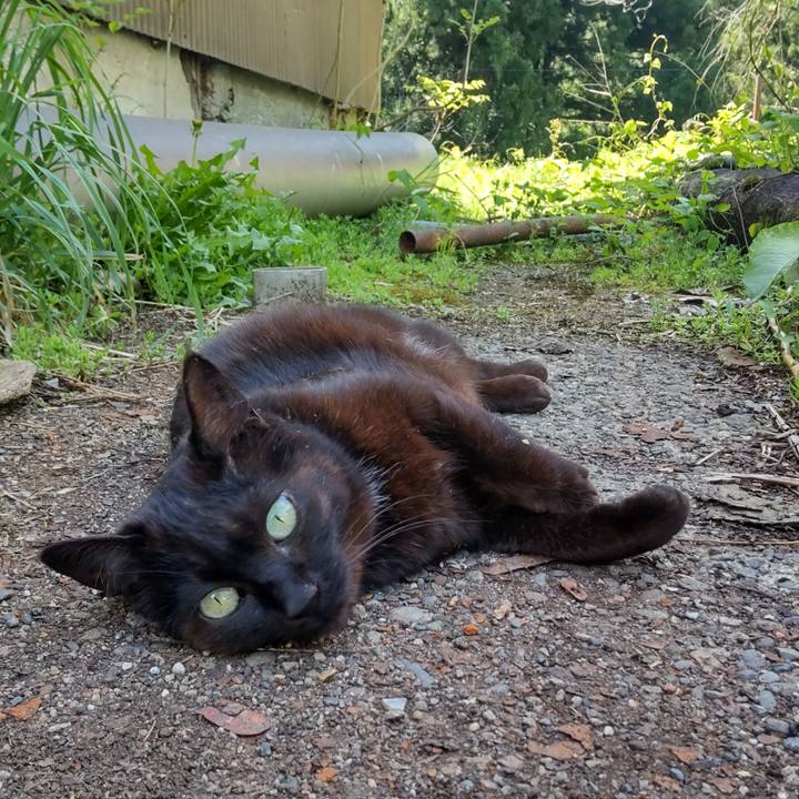 10adca56 791c 4bad be69 4aa9533299c8 1683172290649