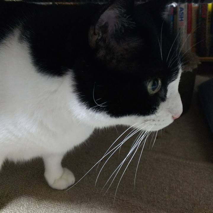 10adf8dd 14e3 4425 b3ec 5f23dd1cb1e8 1534768244889