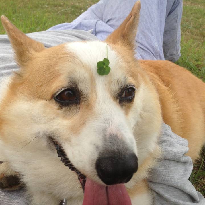 10ae5588 dba1 4ad5 9624 1e63621a90d4 1584064659919