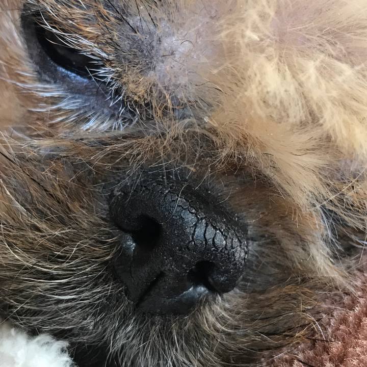 10ae85d4 bd92 4e6f 9250 6290cc2c7011 1523422271728