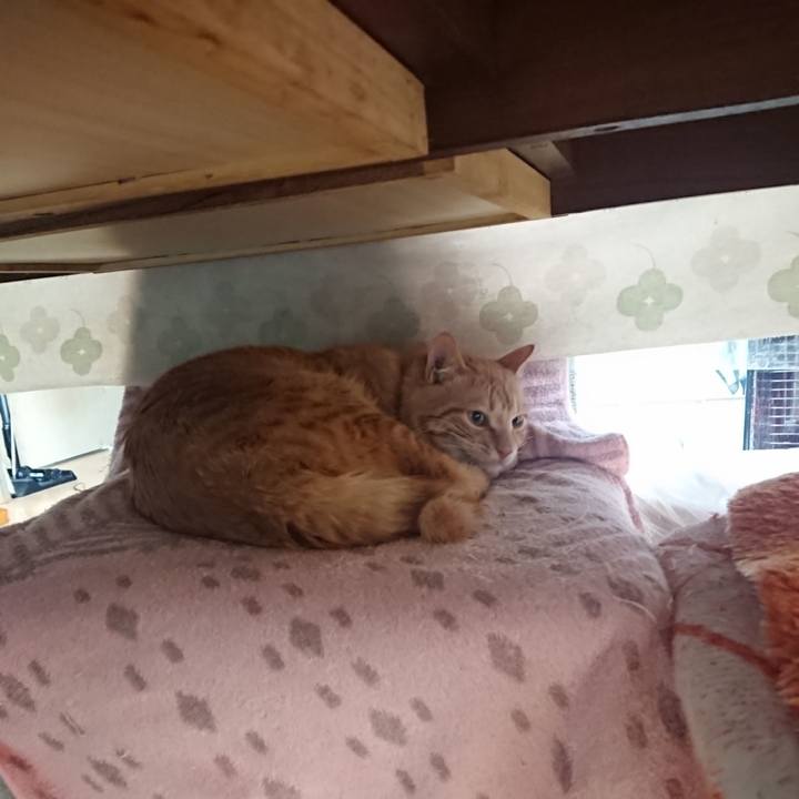 10ae8d08 8546 438b a1e5 7c6ea02f5c29 1646778037223