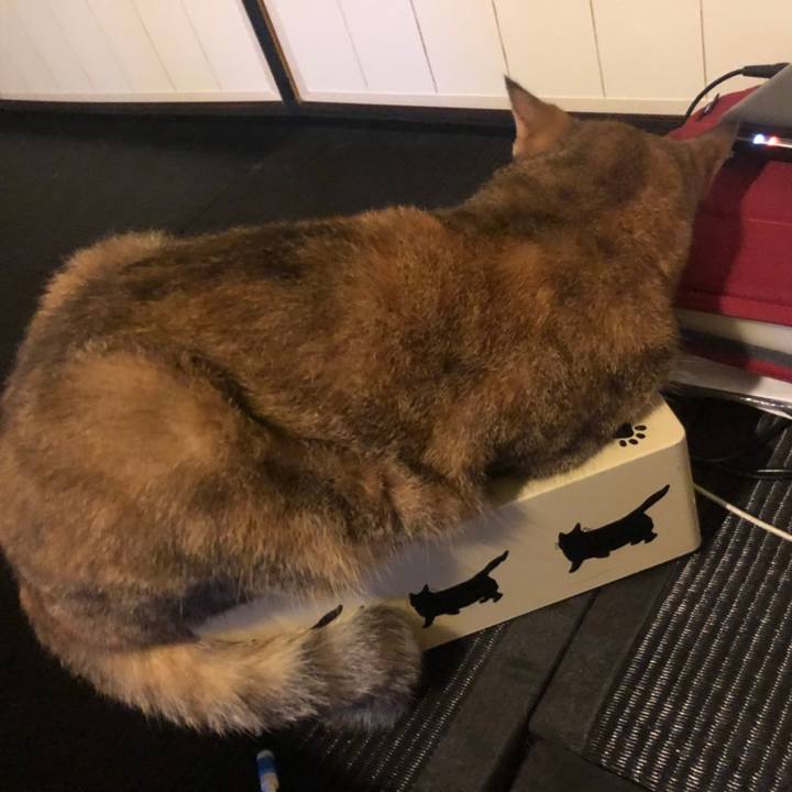 10af2e71 e813 44fb bc1d 057df9097119 1596843207309