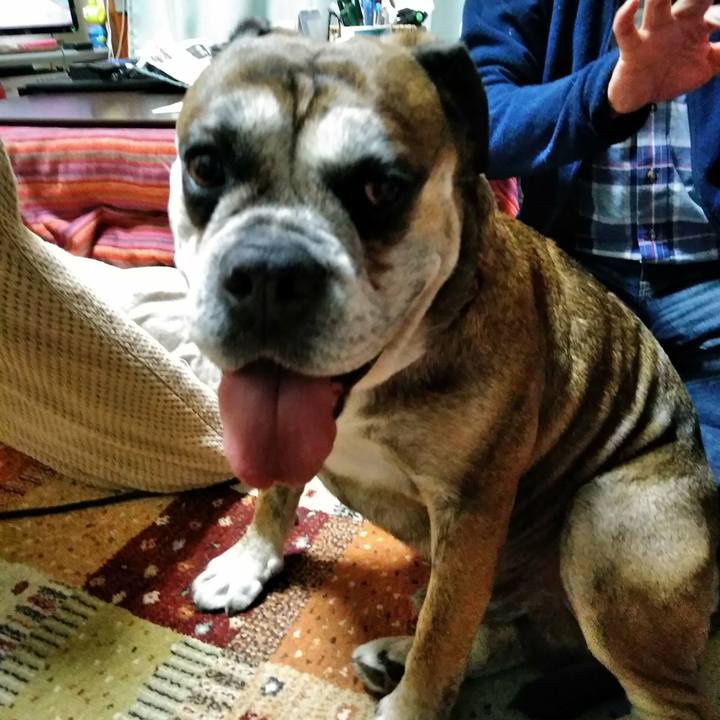 10af5027 9798 490d bfbc d82c31c3c482 1513350141726