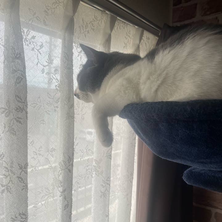 10af5c3f 3b9d 4168 a082 17c726f4eb0a 1694734820658