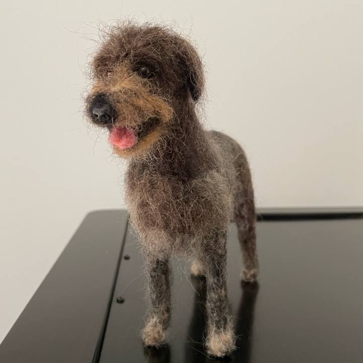 10af67e2 32f5 42ed 92dc acb0e0468fbf 1656116865208