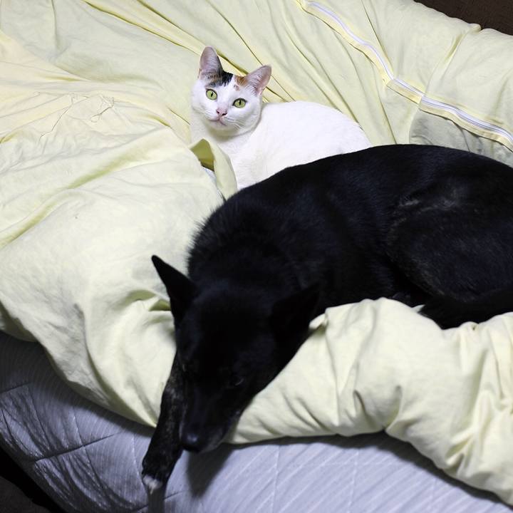 10af82d3 9751 4670 b794 c62214b5e3e3 1610498796644