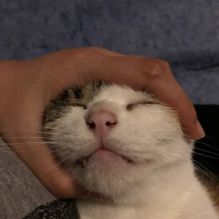 10afbd3c d36f 4ae0 924c 308ee548c6eb 1598005031312