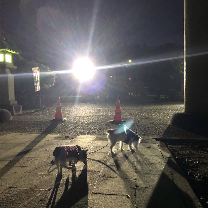 10b034f5 45b3 42af adfb 17f5705046d4 1579644898647