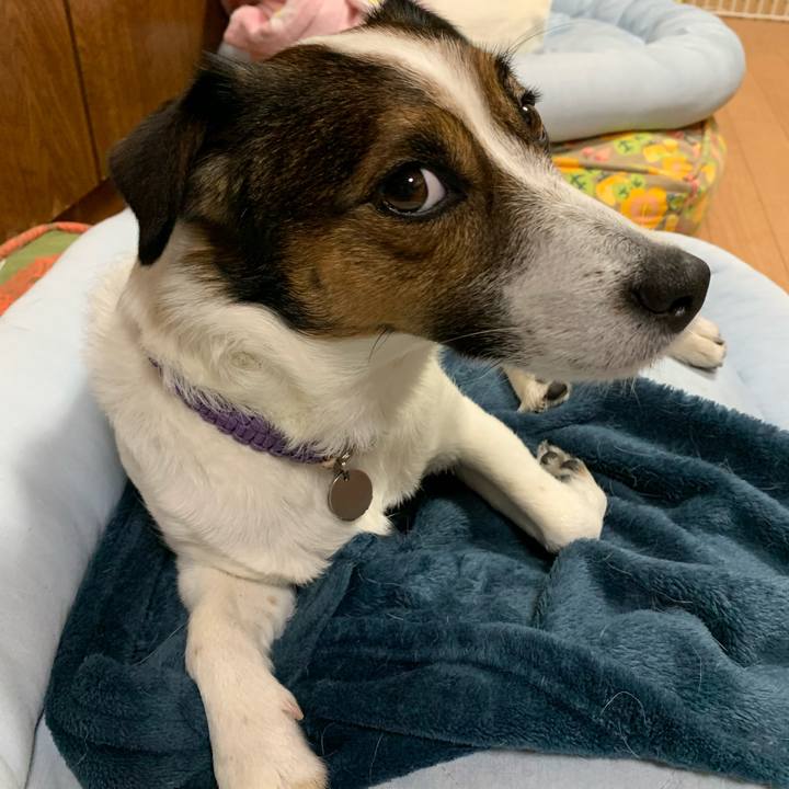 10b06749 fffd 42ff b568 7484a9a20d92 1590317619692