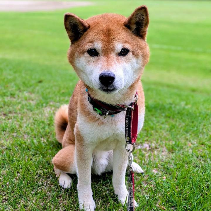 10b09ead de88 46d7 83b1 fa785b810c6a 1747614727558