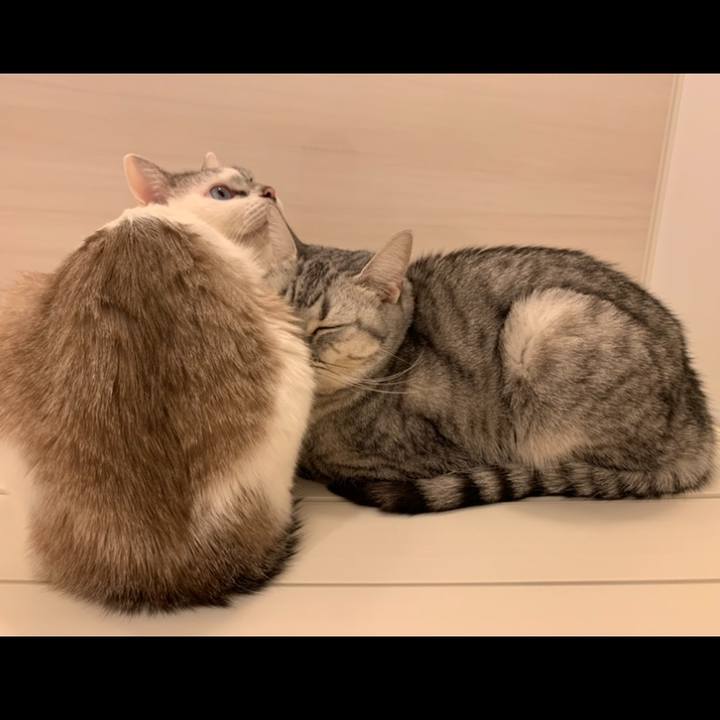 10b0b6bc ae52 4519 b81d af9b6550f41b 1611987824601