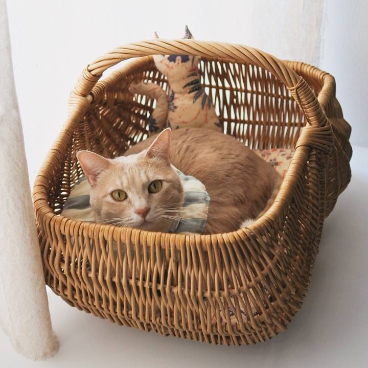 10b1081e 55eb 4413 b492 4bcab3dddc67 1706337923884