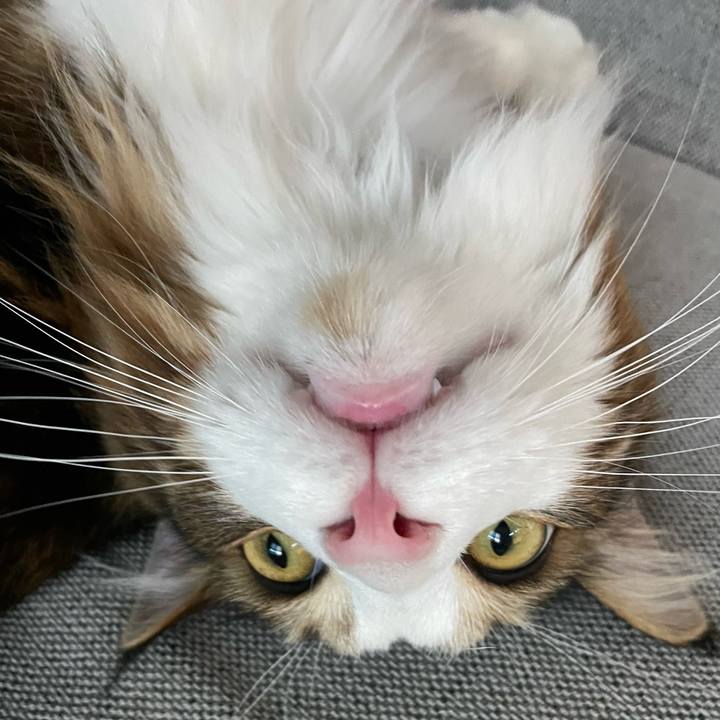 10b130d8 9ebb 499b 9cdd cf4851205748 1656964982940