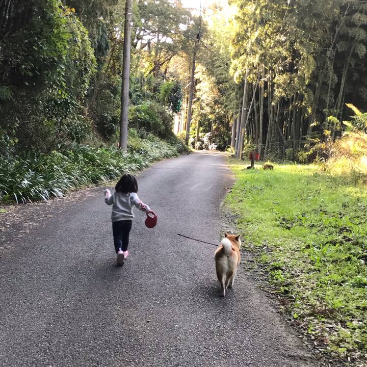 10b17bf4 7854 42a5 b640 e632acbfc9c4 1543246676330