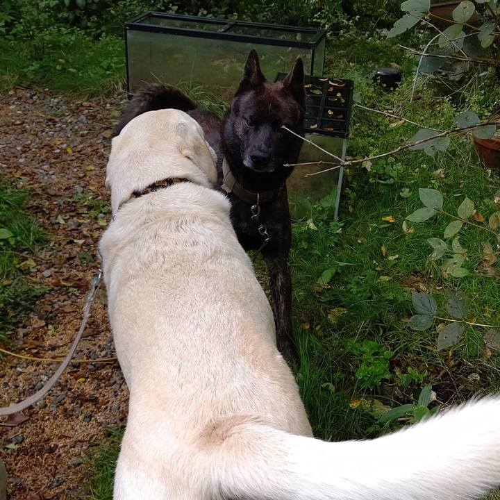 10b17fca 1a0b 4ff3 b461 31e1cae4789b 1662254038302