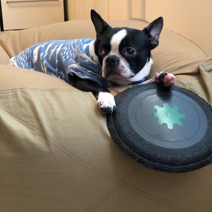 10b182be 3963 4974 a73f 1c1b62e47252 1520815982807