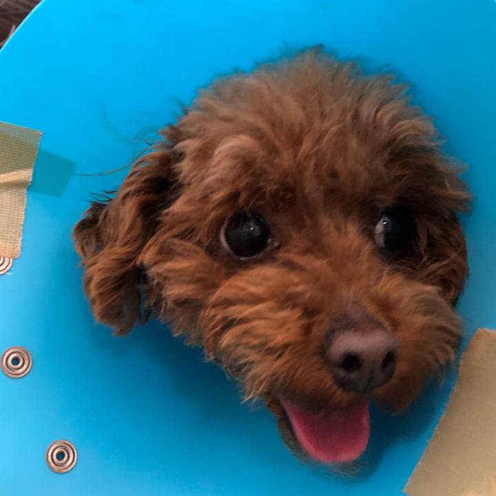 10b1969d b2b6 4601 9c75 30d3475a33b2 1553418584476