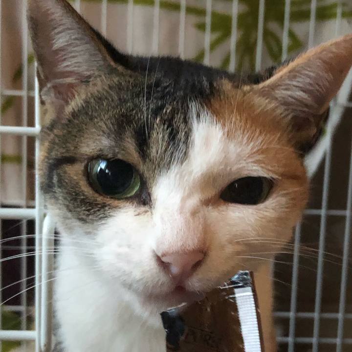 10b19ee8 f997 499c 9b2c 631a248bf275 1600116414569