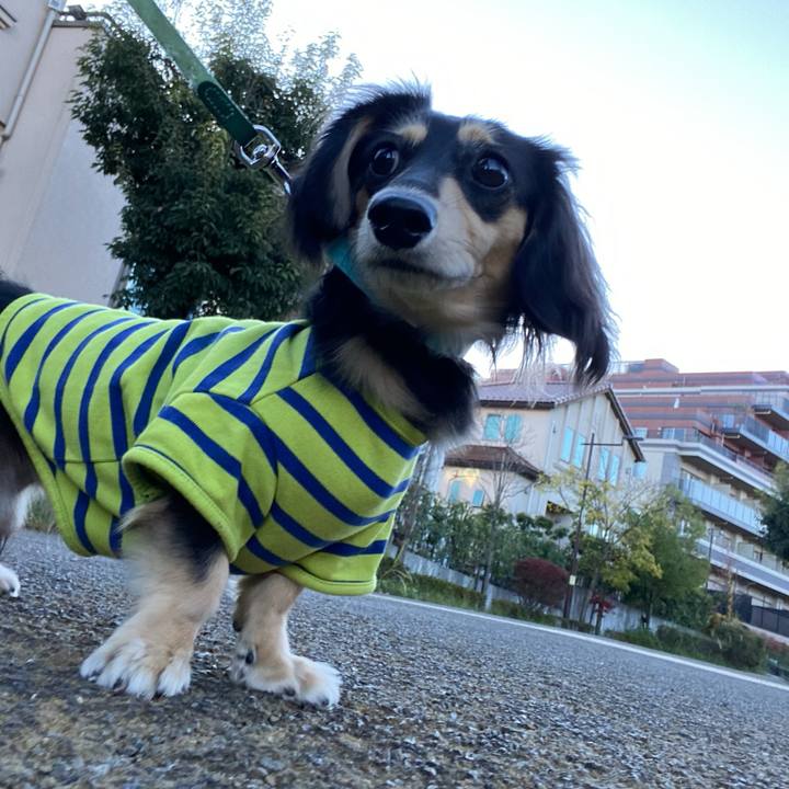 10b1c067 964a 41e5 9925 46b1aaaa69c6 1700611723131