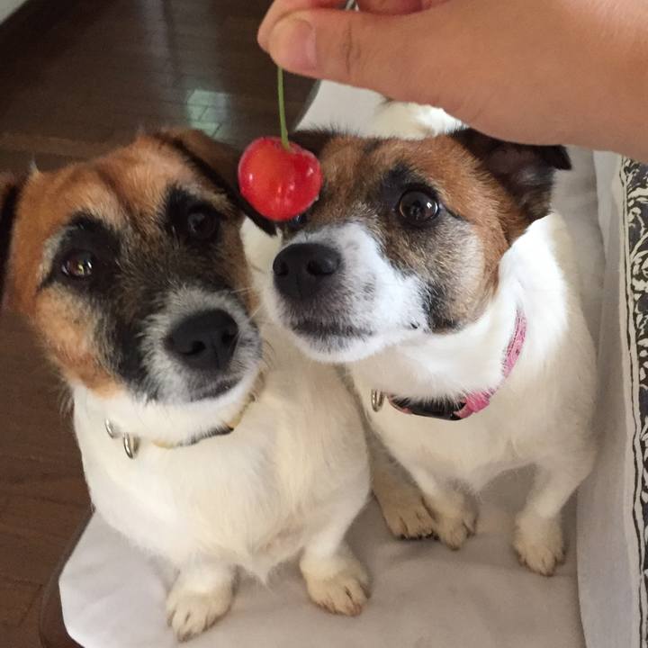 10b1eee8 7461 43a9 bf8b d4216161d756 1529206561512