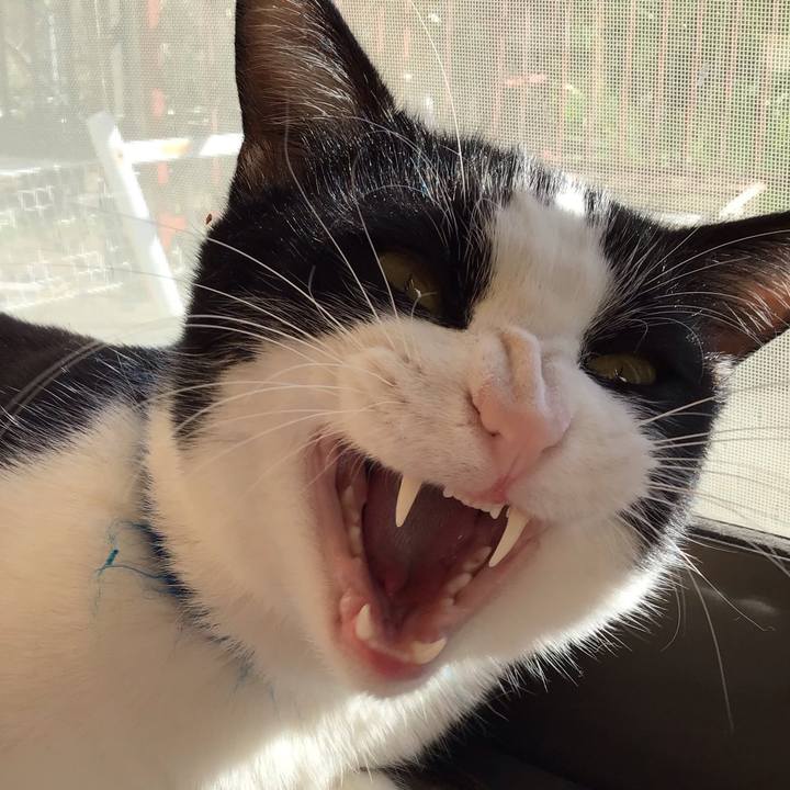 10b20187 8d69 410c ac7f 7bb45e5d7106 1700474084082