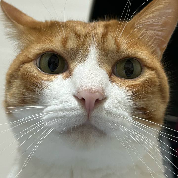 10b21601 b275 46a5 a261 0c24494b3bf4 1759404477460