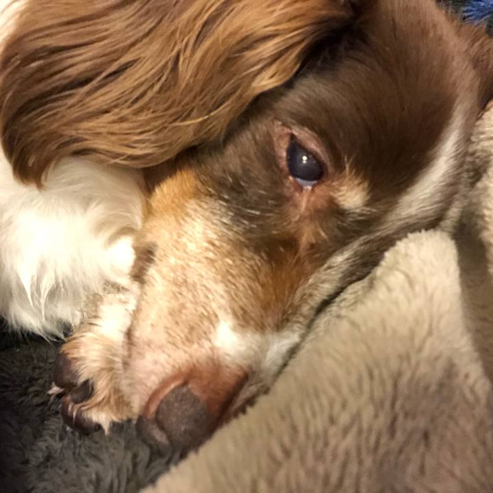 10b2283a 8ad5 4cf0 9881 bf9f75818ac2 1549030147074