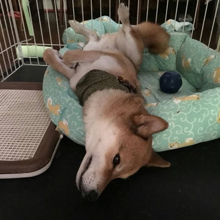 10b26235 9471 4fd6 aae5 75e39cac38eb 1531723729948