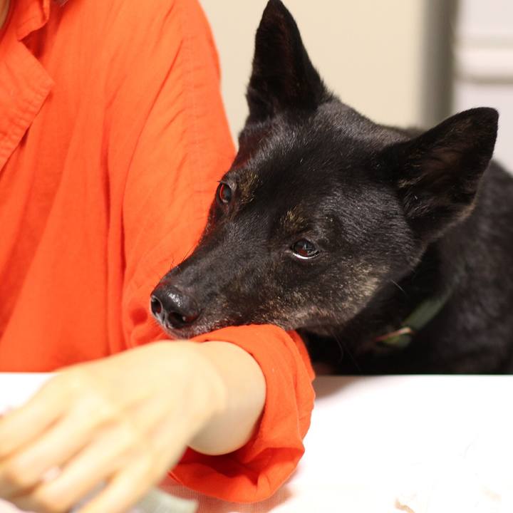 10b2692b 0814 487c a0b9 cf45907686dd 1531272953223