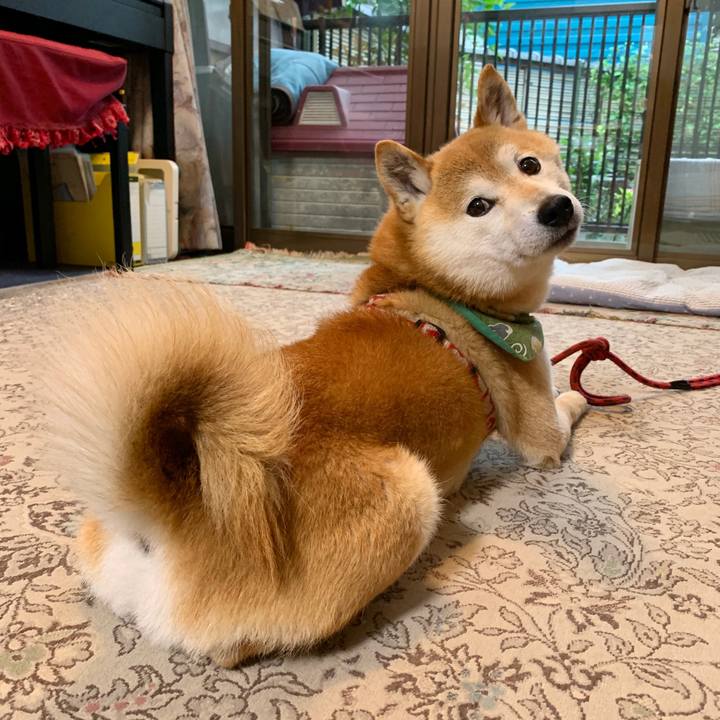 10b2ab6d da66 4d2f a14b 3719571e8842 1591260995754