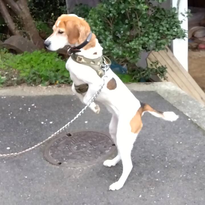 10b2b644 a008 4f0f 8d2f 282363152174 1712547636387