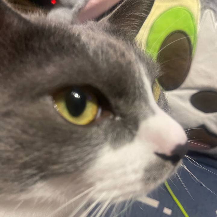 10b2f7da 9cc8 4e22 9ef1 766c4a1d15d7 1729077545645