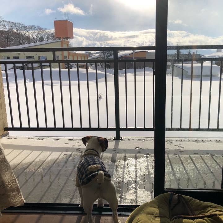 10b31f8a 5f6c 41ca a264 e40526d91371 1548562984683