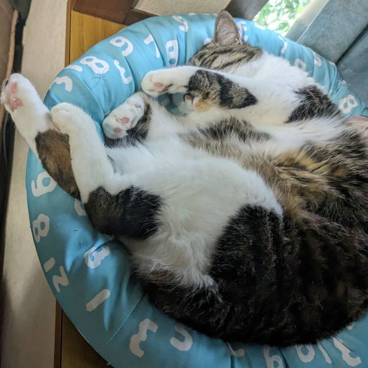 10b33436 40e1 4fe4 a3b7 22885cb9d6ed 1716711538284