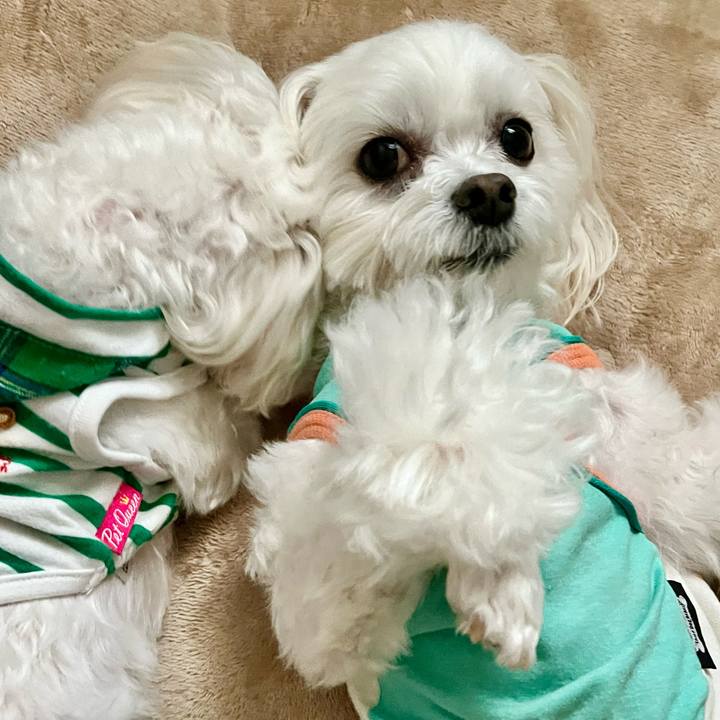 10b3371d ffa1 44ad bf01 ad8b90a837f3 1650534754911