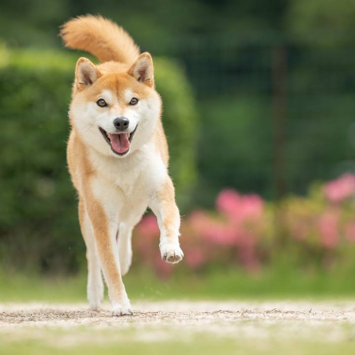 10b3445d 4e21 4448 997d 4f618426eca8 1685307689289