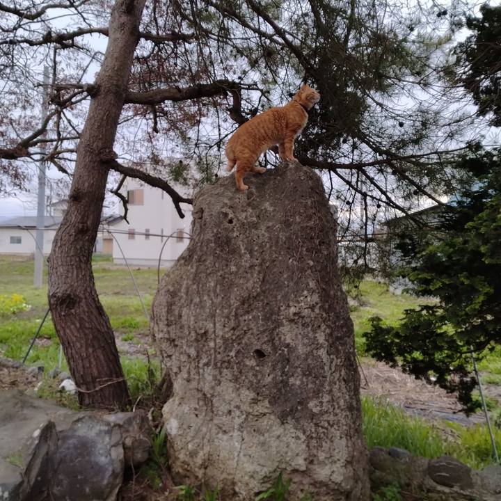 10b360fe 96c3 418e 97b6 bd5b44d36af7 1681808407253