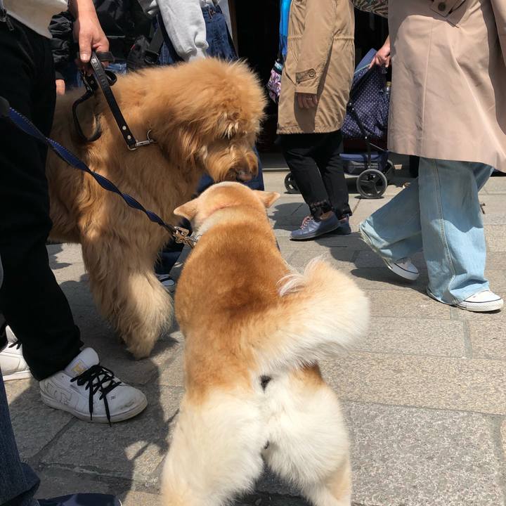 10b36517 133b 452c b5f9 72ce41141ccc 1554688576322