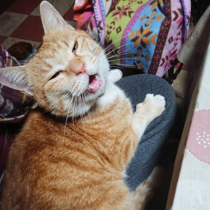 10b367fc bc33 4d3c ad9c 5a21978a72f8 1584821965848