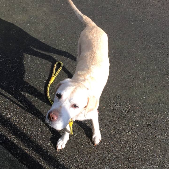 10b39ad1 cfb3 4804 ae8b 8f8502f0ce0a 1553157928098