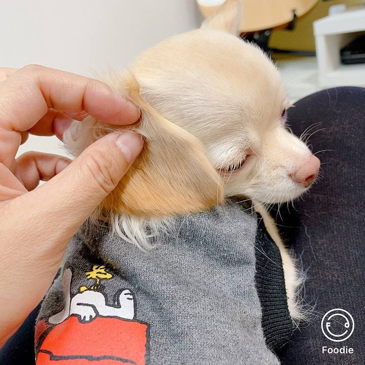 10b3a7ba fd69 4a38 b057 72e5cb215f93 1603079653780