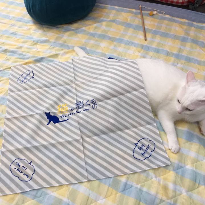 10b45dac 42c4 4844 bf56 a5c263a19e1c 1531894626220