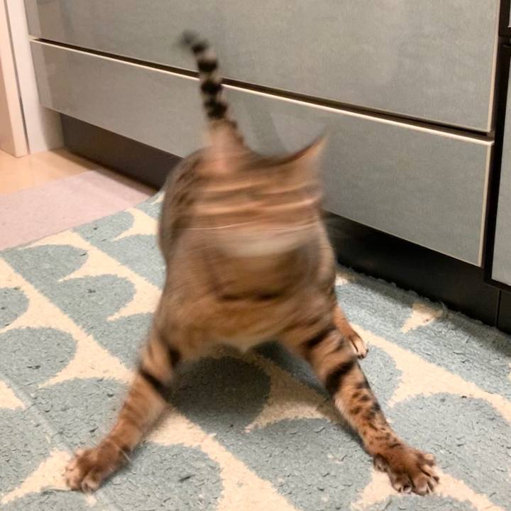 10b45e3b 3aeb 4de9 89ee ab02a35c8663 1580253005365