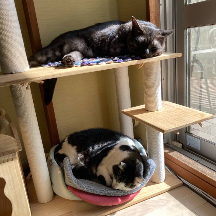 10b46292 47bb 488f 9d4b 2cc985b09479 1707867037484