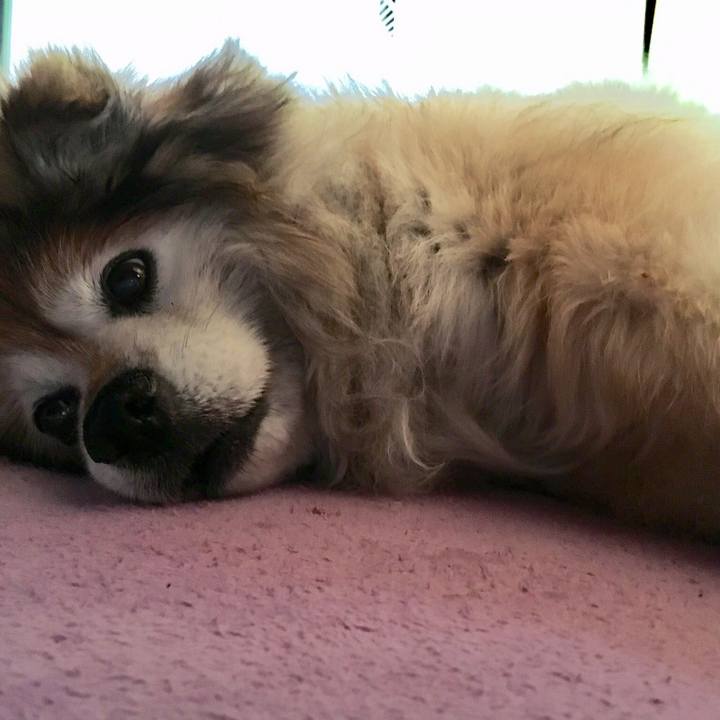 10b48987 6278 49a8 b324 1cdcfb9ab039 1585875556861