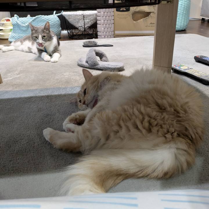 10b48c8e caf6 4289 97e8 58a51aa121eb 1758616191963