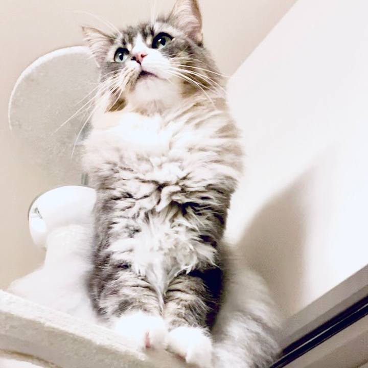 10b4975e db75 4030 a3f0 ddb12a4f26d2 1633023586768