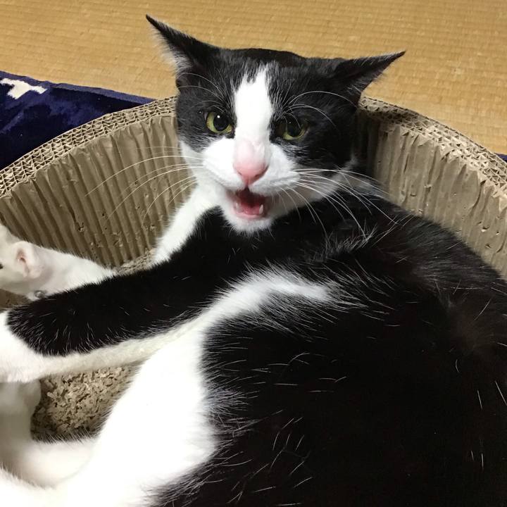 10b49fa4 6e1b 40ff 94bf 31696aff86f7 1706010393822