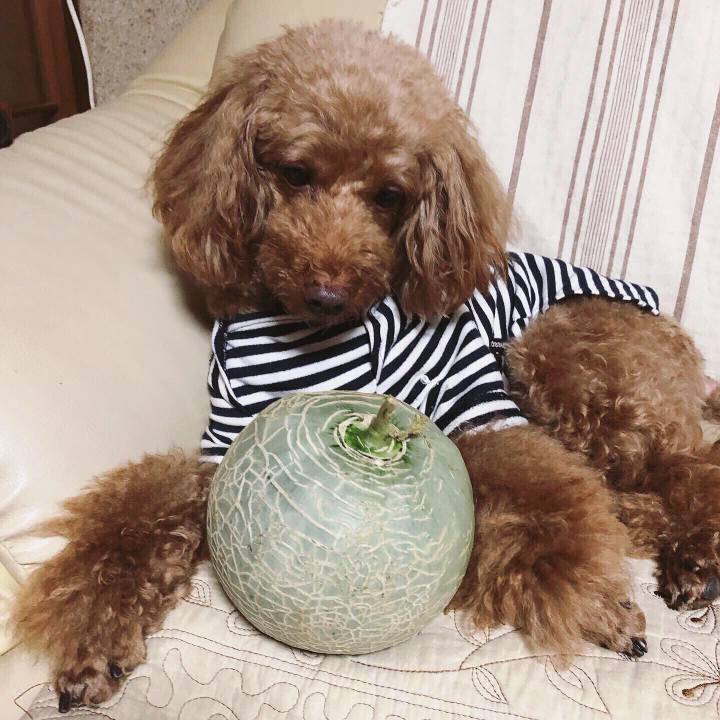 10b4f3dd 92b1 4d89 90f5 a6148e25860b 1571124316884